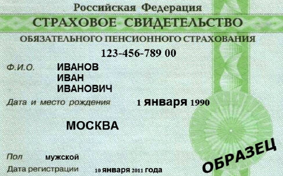 снилс.jpg