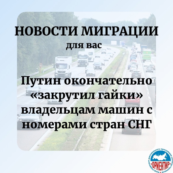 гацки.jpg